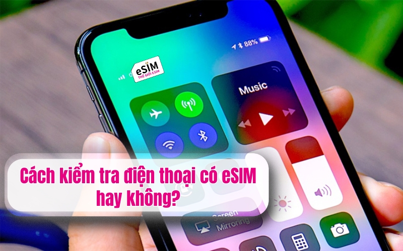 Cách kiểm tra điện thoại có eSIM hay không?